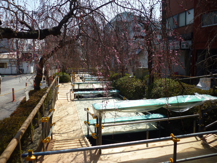釜川の川床桜まつりの川床開放は３０日（土曜日）から行います。
